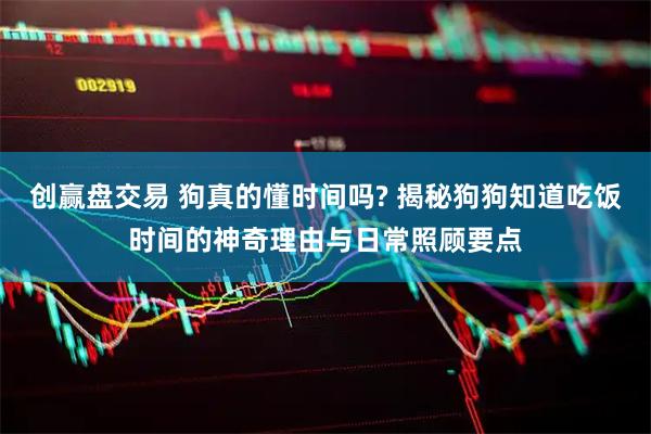 创赢盘交易 狗真的懂时间吗? 揭秘狗狗知道吃饭时间的神奇理由与日常照顾要点