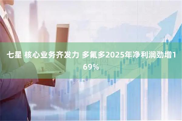 七星 核心业务齐发力 多氟多2025年净利润劲增169%